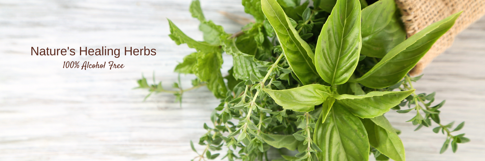 Single Herb Tinctures