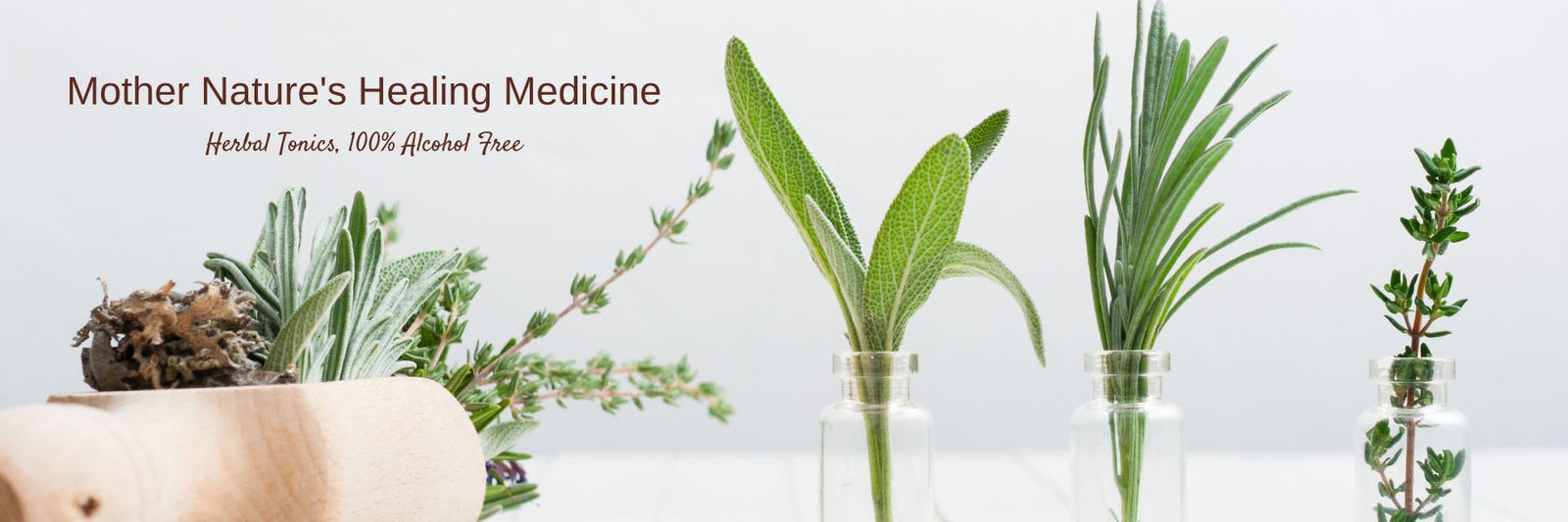 NatroVital Herbal Tonics