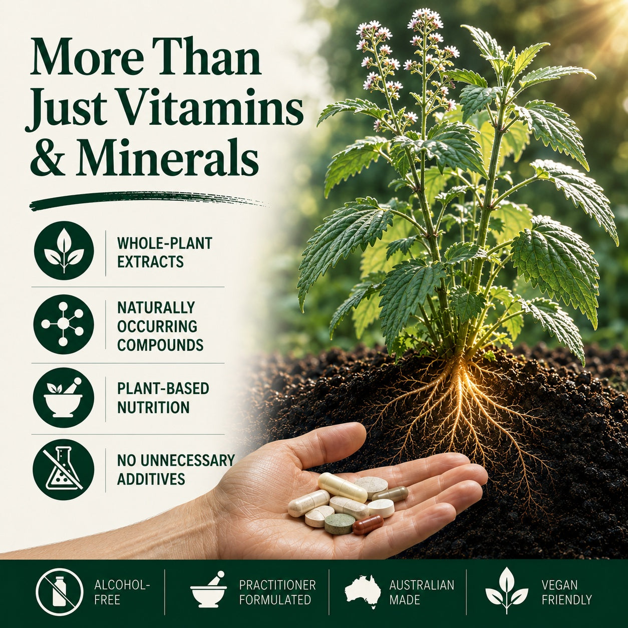 NatroVital Everyday Range promotional graphic featuring a realistic flowering herb growing from rich soil with softly glowing roots, beside a hand holding assorted tablets and capsules. Text reads “More Than Just Vitamins & Minerals” with key points: Whole-Plant Extracts, Naturally Occurring Compounds, Plant-Based Nutrition, and No Unnecessary Additives.