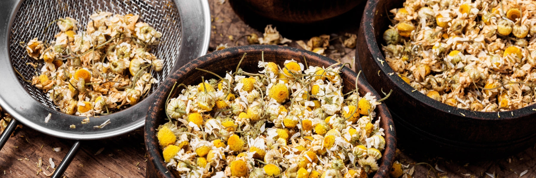 Chamomile - More Than Just a Cup of Tea | NatroVital