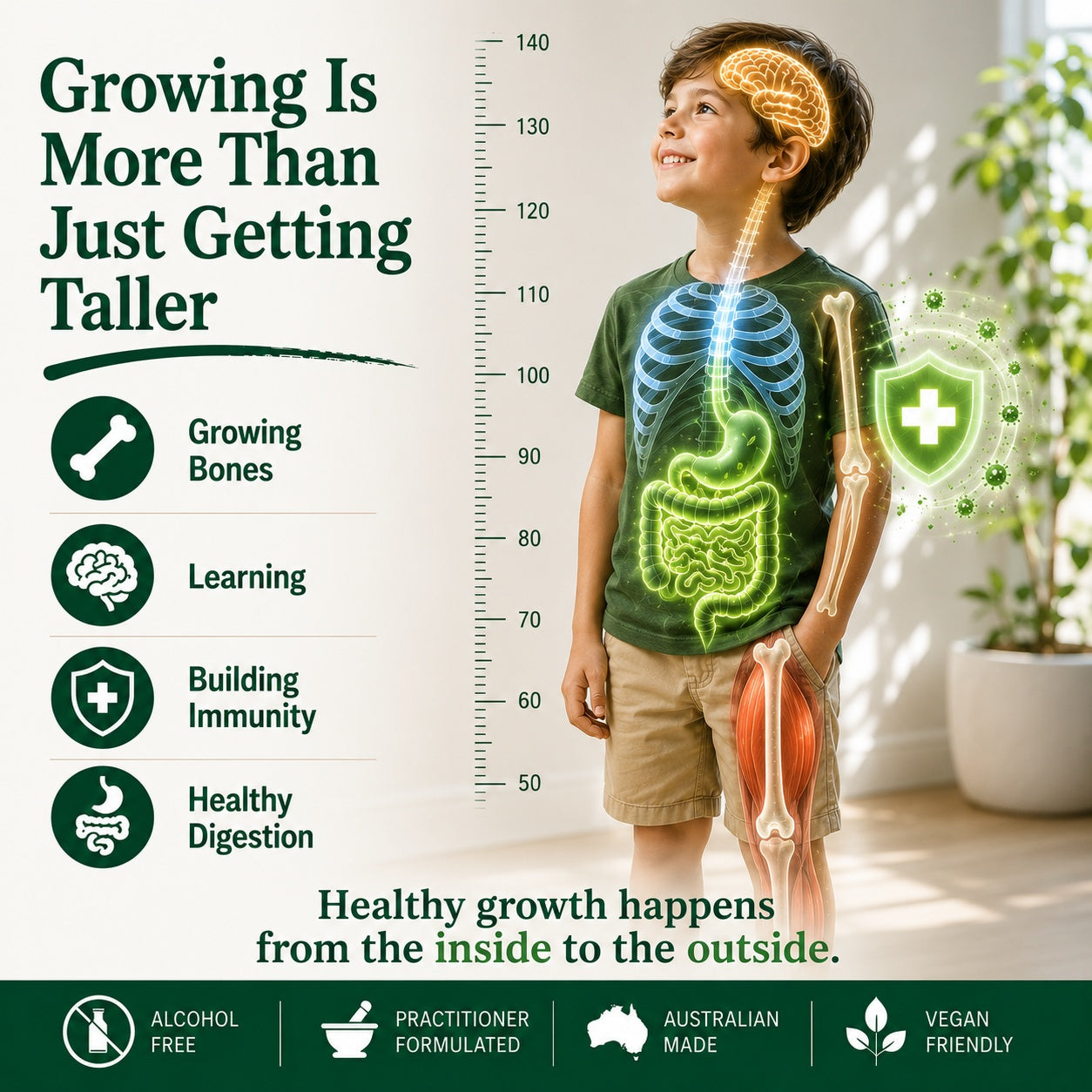 Illustration of a growing child showing the brain, bones, digestive system and immune system, highlighting that healthy growth involves more than simply getting taller.